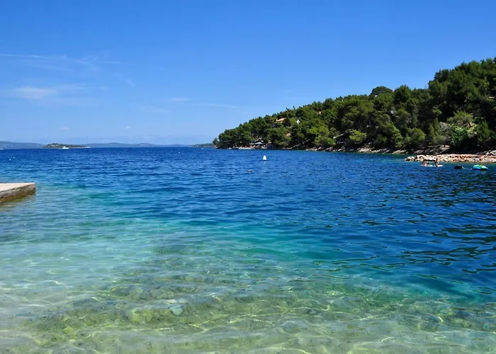 Bay Sascica Sali