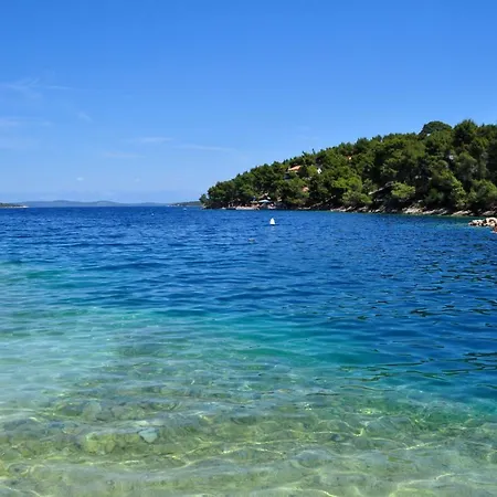 Bay Sascica Sali